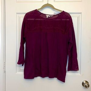 Sonoma Eyelet and Mesh Lace Three Quarter Sleeve Top in Large